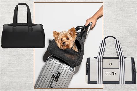 lv design pet|Travel Bags and Rolling Luggage .